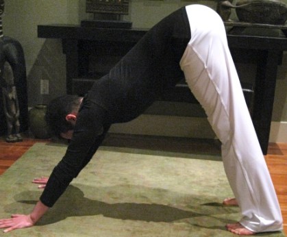 "Growlithe Pose 'PokéMonAsana Series for AshTaBitAsana!"